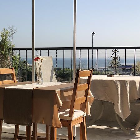 Antik Sofia Hotel イスタンブール エクステリア 写真